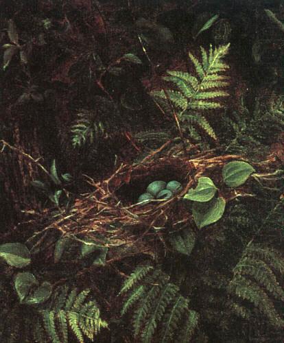 Bird\'s Nest and Ferns, Fidelia Bridges